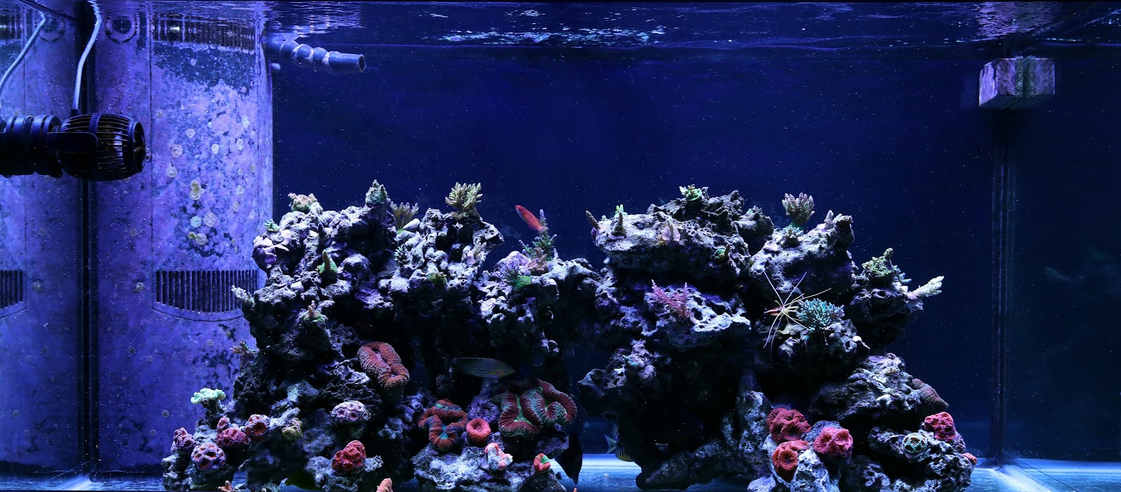 FTS+Sept.+17+2016.jpg